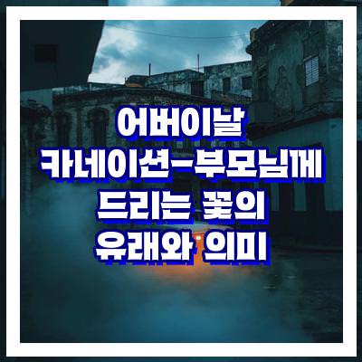 어버이날 카네이션-부모님께 드리는 꽃의 유래와 의미