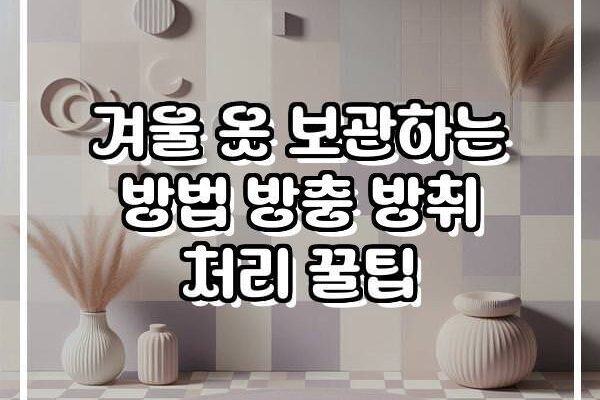 겨울 옷 보관하는 방법 방충 방취 처리 꿀팁