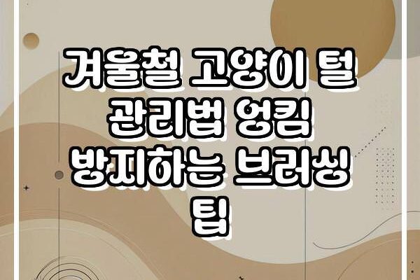 겨울철 고양이 털 관리법 엉킴 방지하는 브러싱 팁