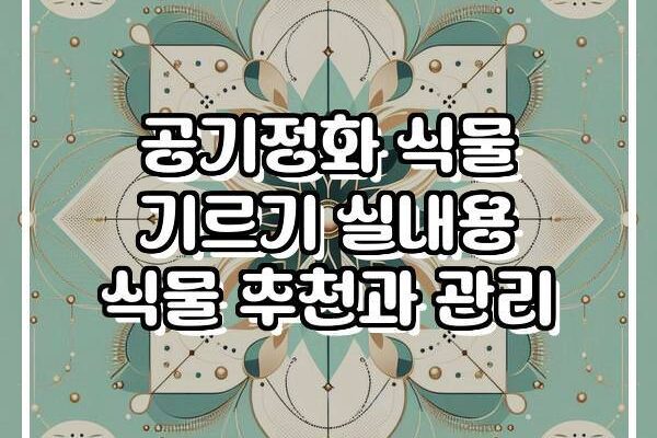 공기정화 식물 기르기 실내용 식물 추천과 관리