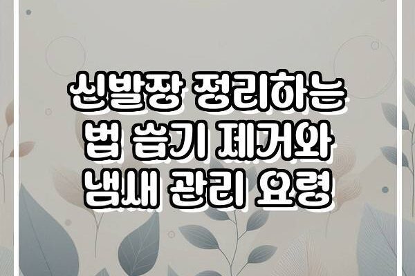 신발장 정리하는 법 습기 제거와 냄새 관리 요령
