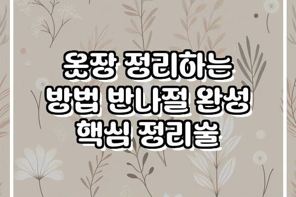 옷장 정리하는 방법 반나절 완성 핵심 정리술