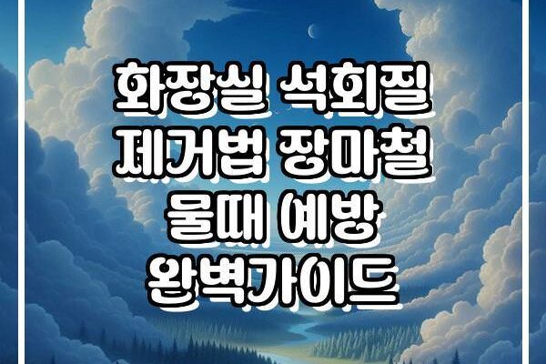 화장실 석회질 제거법 장마철 물때 예방 완벽가이드